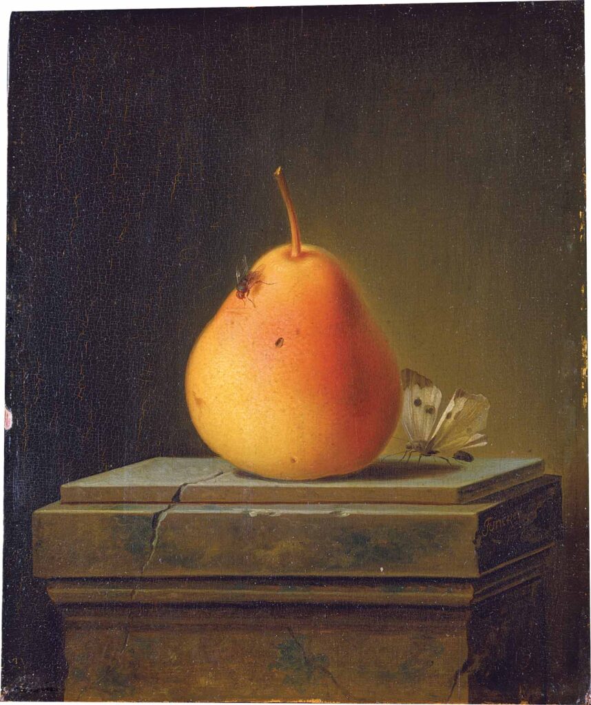 Artwork of Still Life with Pear and Insects by Justus Juncker