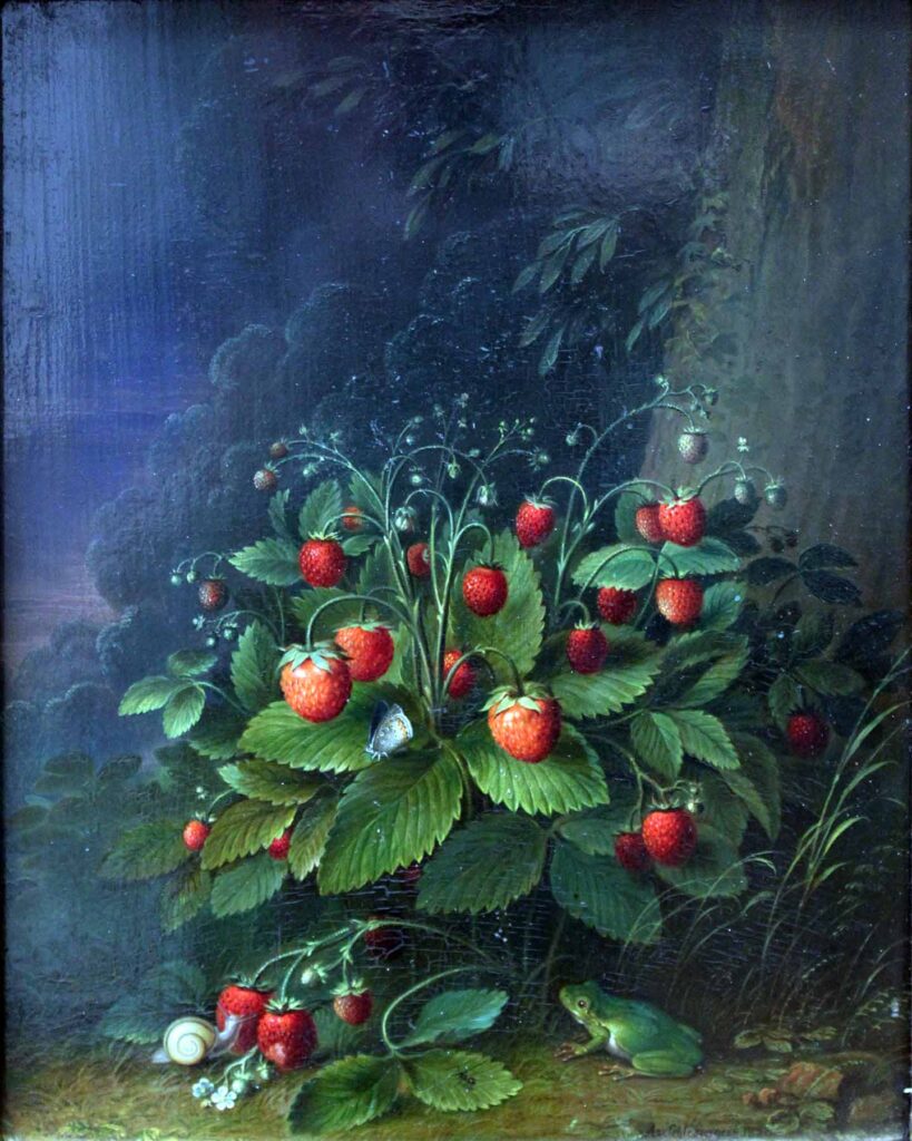 Artwork of Strawberries by Johann Adam Schlesinger